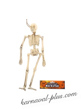 Скелет  большой